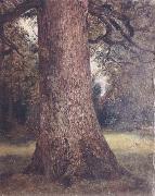 John Constable, Study of the trunk of an elm tree